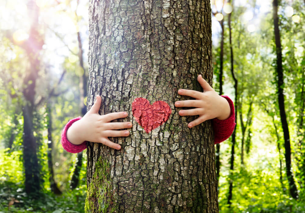 tree trunk with heart on